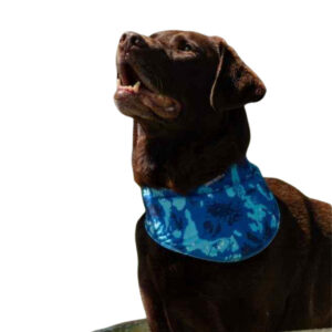 bandana refrigerante