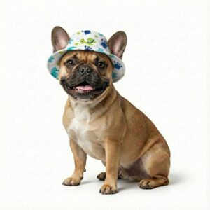 sombrero summer