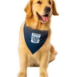 bandana oficial alianza lima