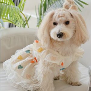 ropa para mascotas vestido corazón colorido